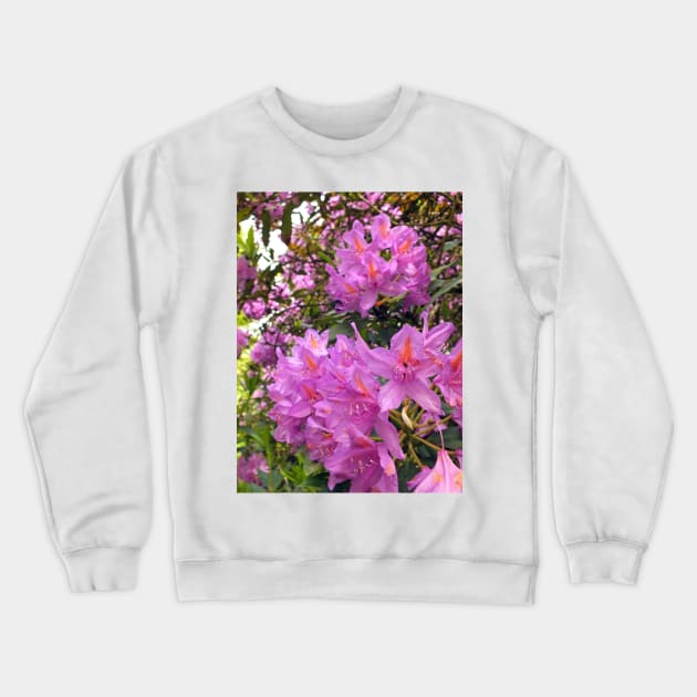 Pink Rhododendron Blossom Crewneck Sweatshirt by pinkal